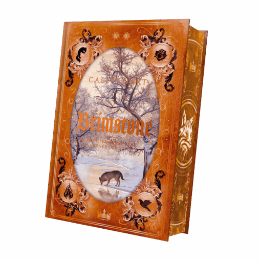 Brimstone Mockup SU außen mit FS.png