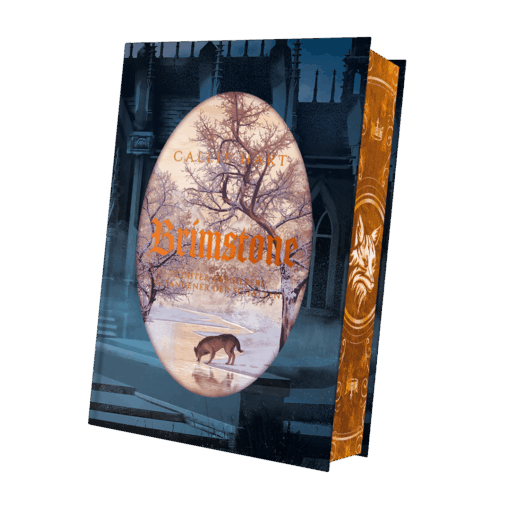 Brimstone Mockup SU innen mit FS.png