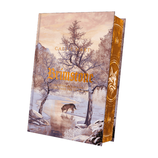 Brimstone Mockup Bezug mit FS.png