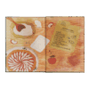 Cinnamon Sparks  NS.png
