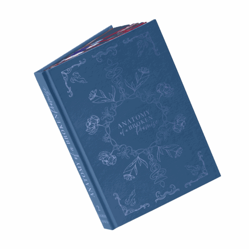 Anatomy of a broken Promises Mockup Mockup Ausstattung Bezug.png