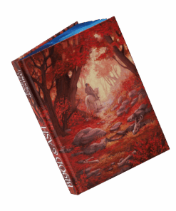 Blood & Ash 1 Austattung Bezug offen.png