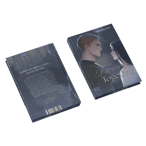 Drawn Together 1 Austattung Mockup Bezug.png