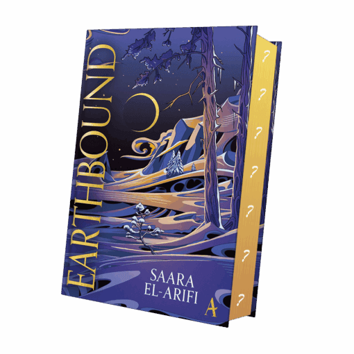 Earthbound Mockup geheim.png