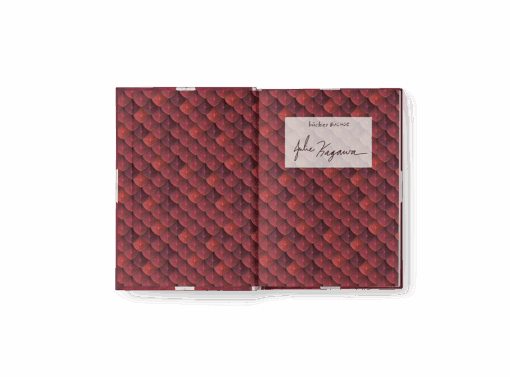 Talon_Ausstattung Band 1_VS