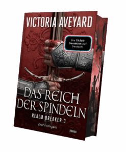 Realm Breaker 3-Mockup-mit-Farbschnitt