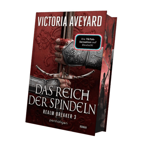 Realm Breaker 3-Mockup-mit-Farbschnitt