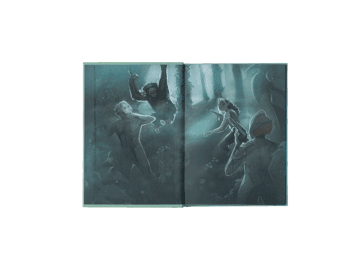 aurora-mockup-band-1-vns