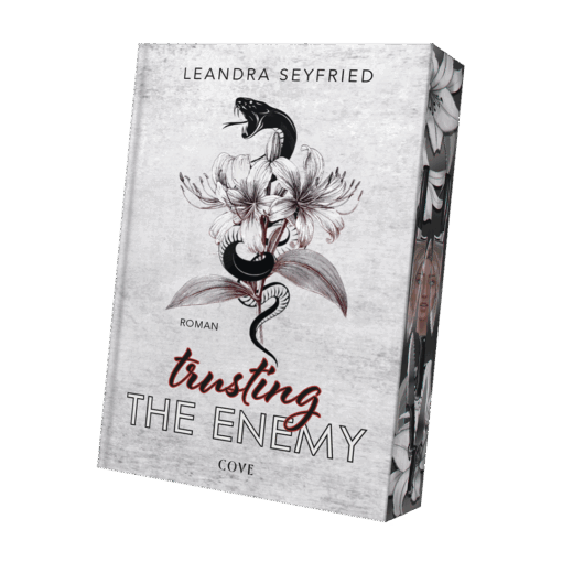 Trusting Your Enemy 2 Mockup.png