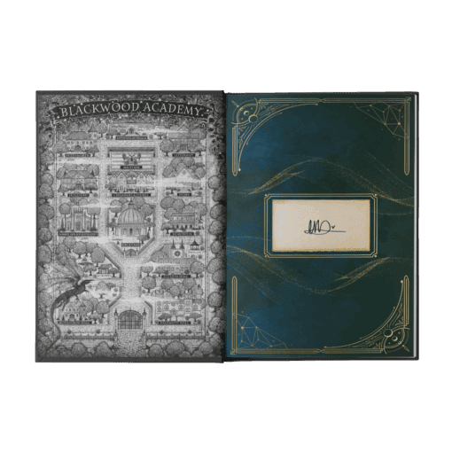 Ruinous Ends Austattung Mockup VS.png